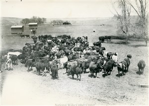 Image description is not available for PHO-4-W689-259